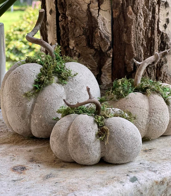 CONCRETE PUMPKIN CLASS... Let's get creative! by Judy Buchanan