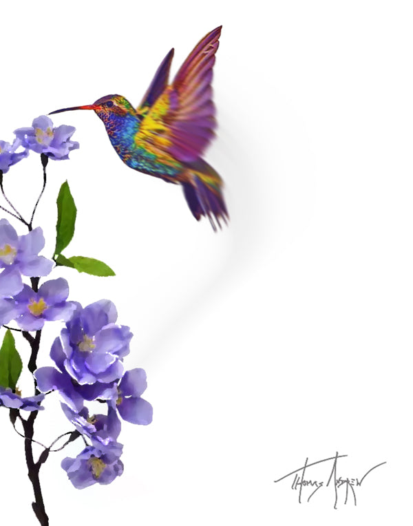 Hummingbirds 07