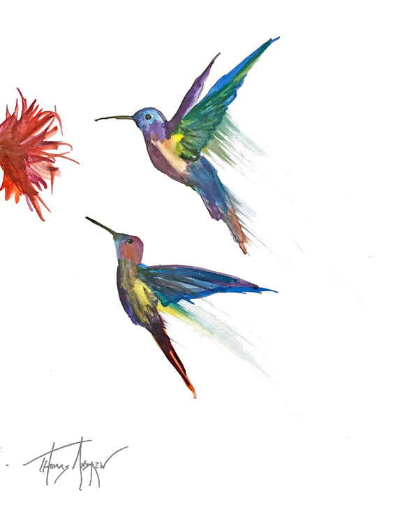 Hummingbirds 01