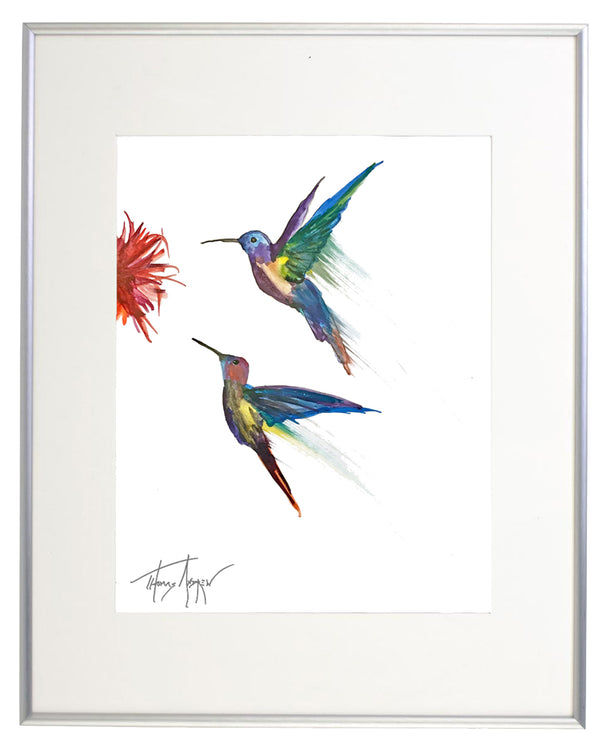 Hummingbirds 01
