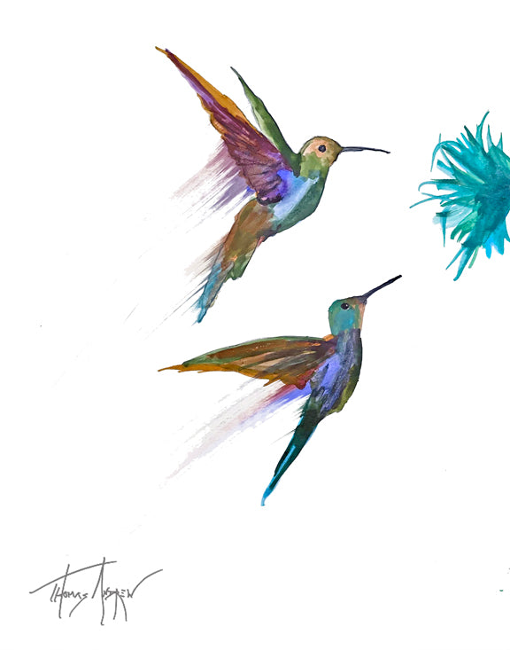 Hummingbirds 01a
