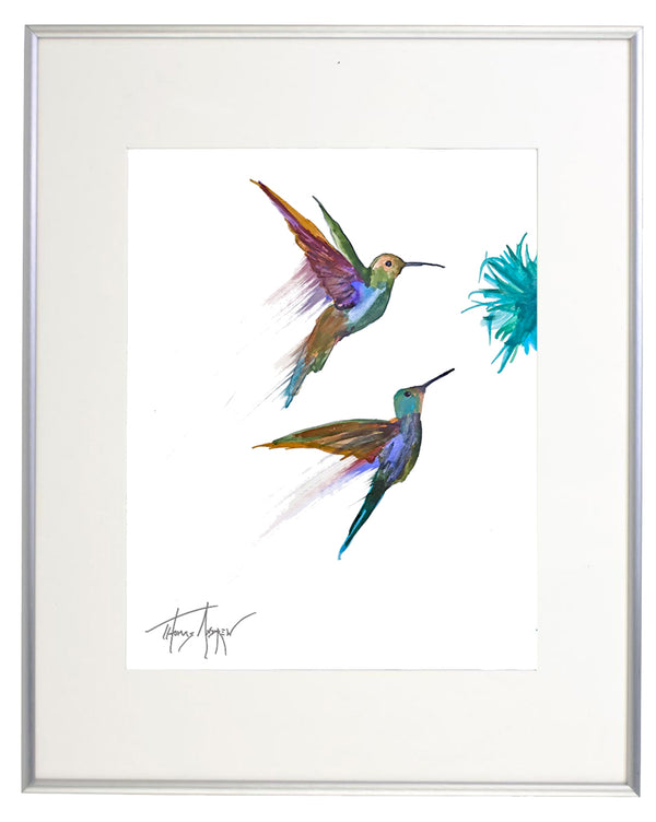 Hummingbirds 01a