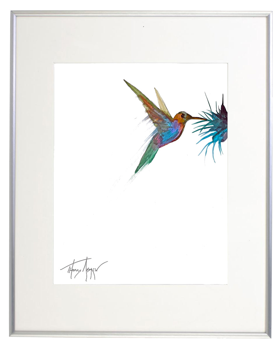 Hummingbirds 02a – ThomasAndrewArtwork