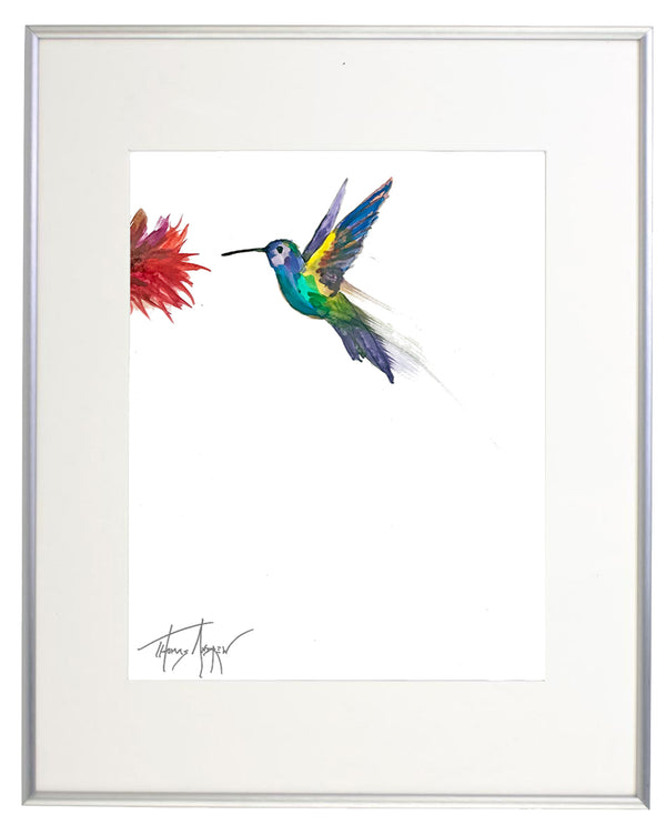 Hummingbirds 03