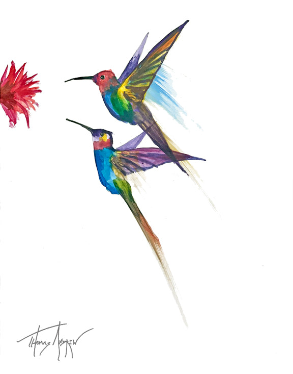 Hummingbirds 04