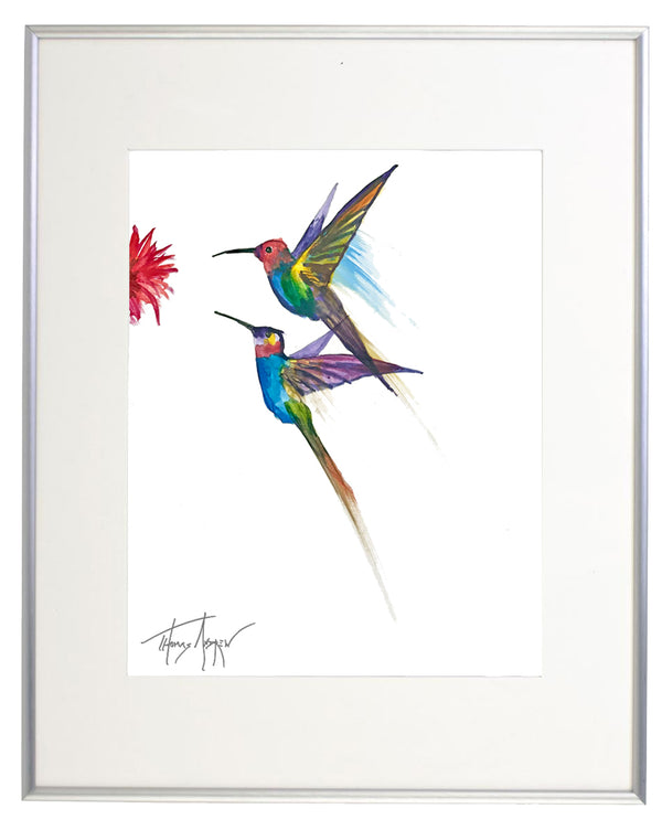 Hummingbirds 04