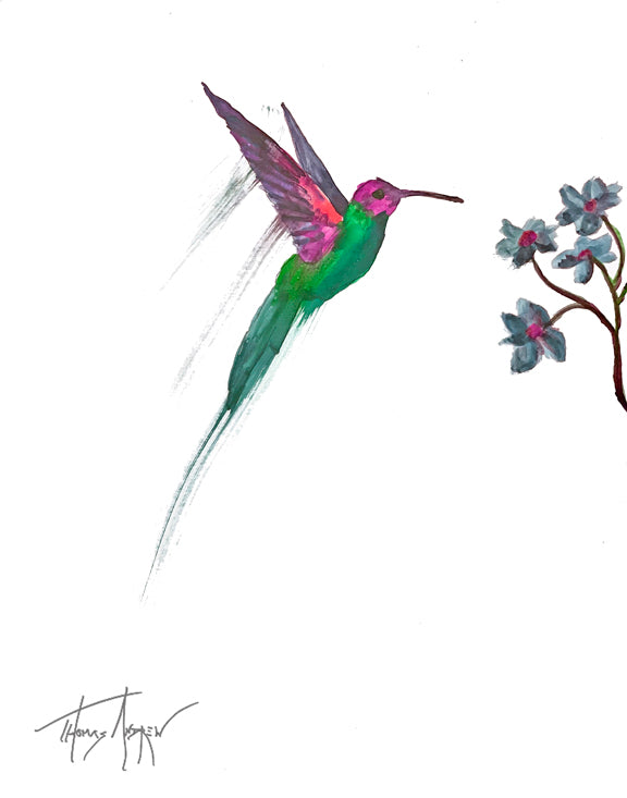 Hummingbirds 05a