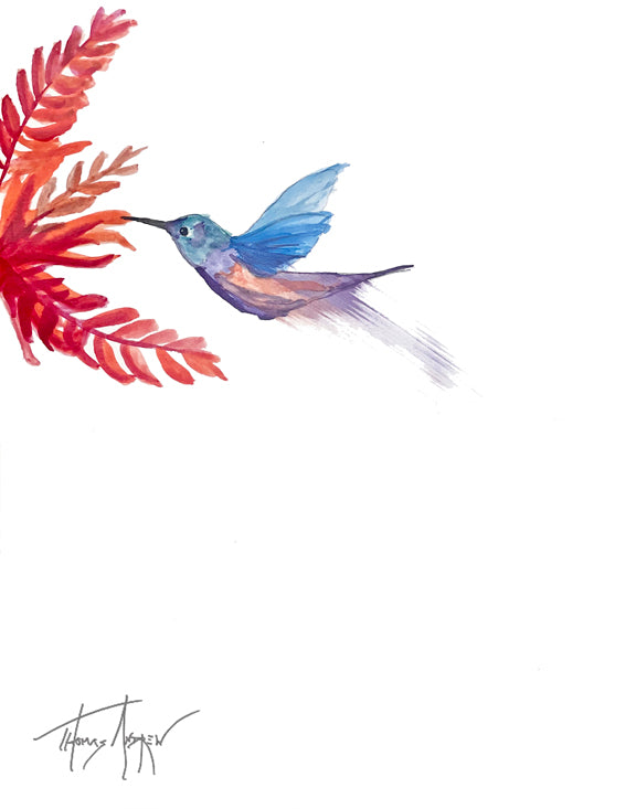 Hummingbirds 06