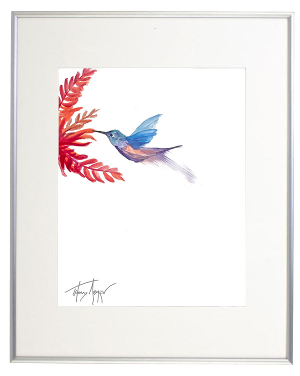 Hummingbirds 06