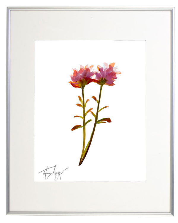 Wild Flower on Paper #4601