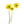Load image into Gallery viewer, Wild Flower on Paper #4604

