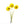 Load image into Gallery viewer, Wild Flower on Paper #4610
