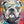 Load image into Gallery viewer, Reflections Series / Big Dawg / Free Shipping
