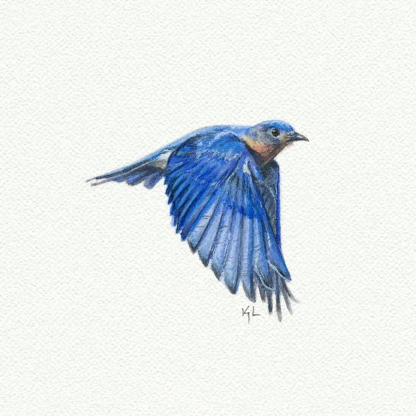 Bluebird Miniature watercolor reproduction by Karen Libecap