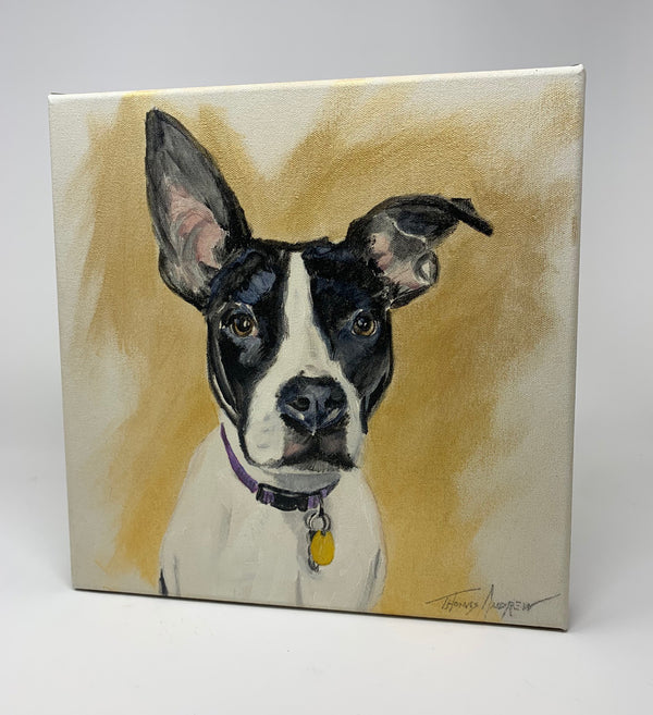 Hand-Painted Pet Portrait Commission / Free Shipping!