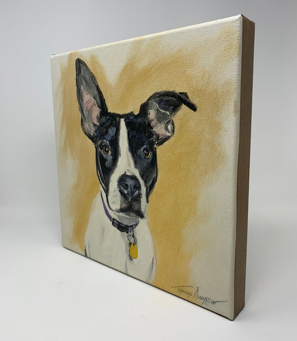 Hand-Painted Pet Portrait Commission / Free Shipping!