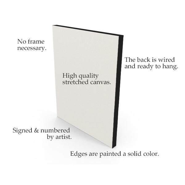 "White Majestic" Diffused Glow / Print by Thomas Andrew - Thomasandrewartwork