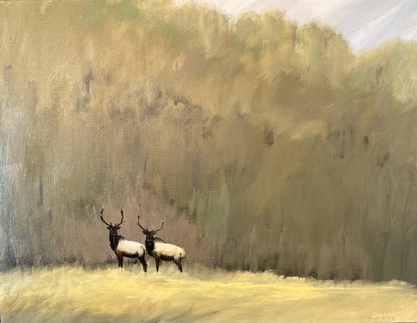 "The Forest for the Trees"