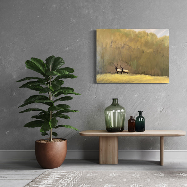 "The Forest for the Trees"