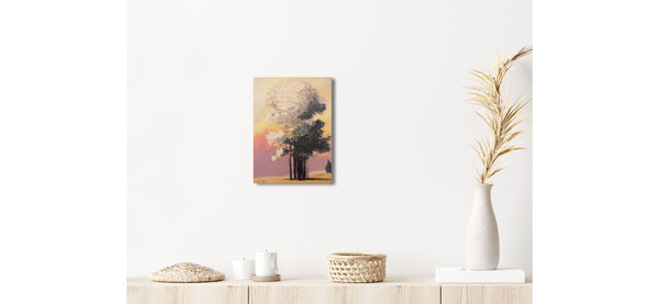 "The Contrast of Color"