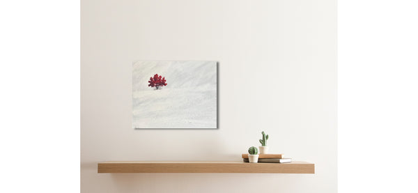 "California Redwoods" - Red Trees Series