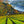 Load image into Gallery viewer, &quot;Wine Country #11&quot; print by Thomas Andrew - ThomasAndrewArtwork
