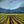 Load image into Gallery viewer, &quot;Wine Country #13&quot; print by Thomas Andrew - ThomasAndrewArtwork

